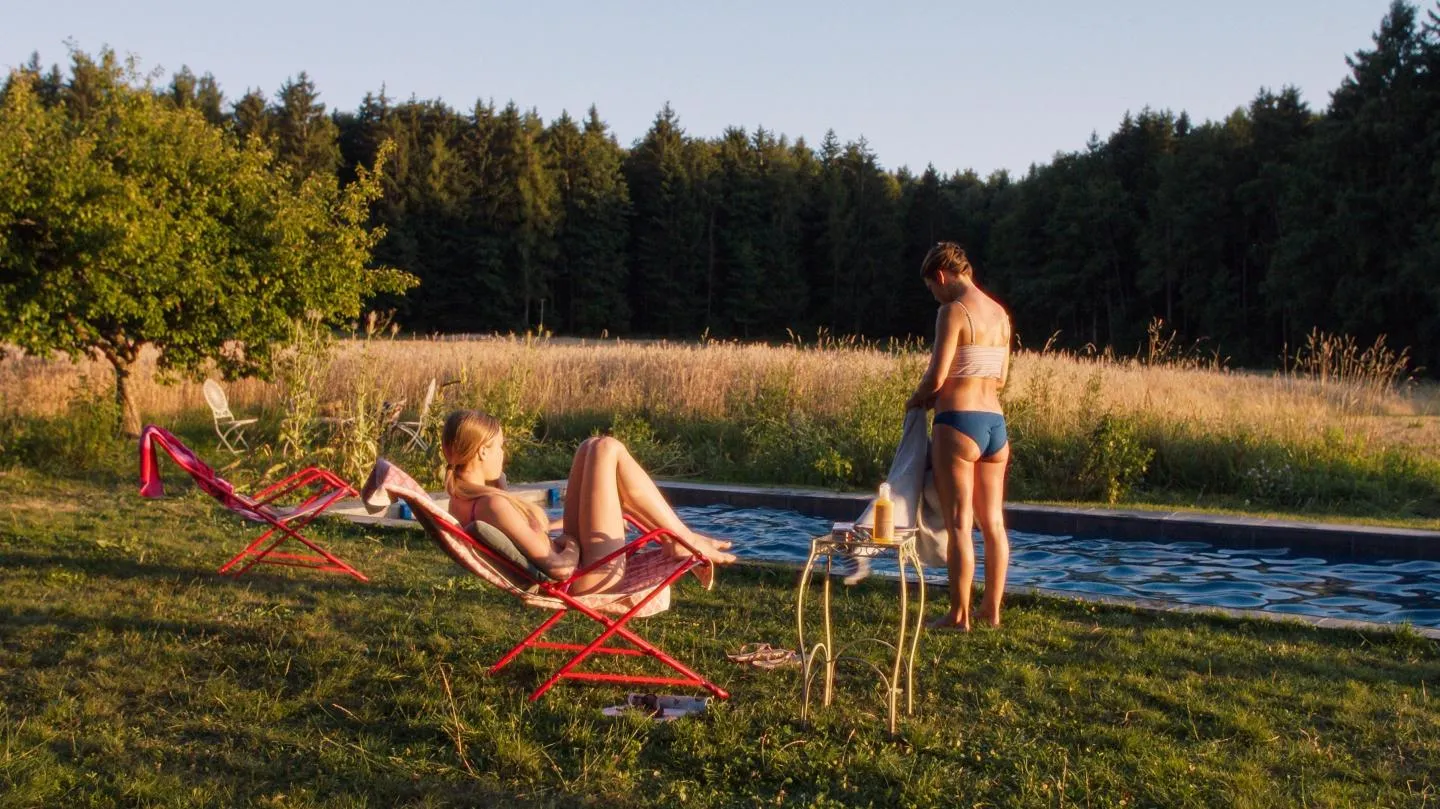 عصفور في المدخنة