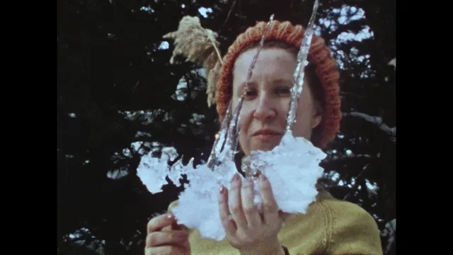 فرحة كهرومائية