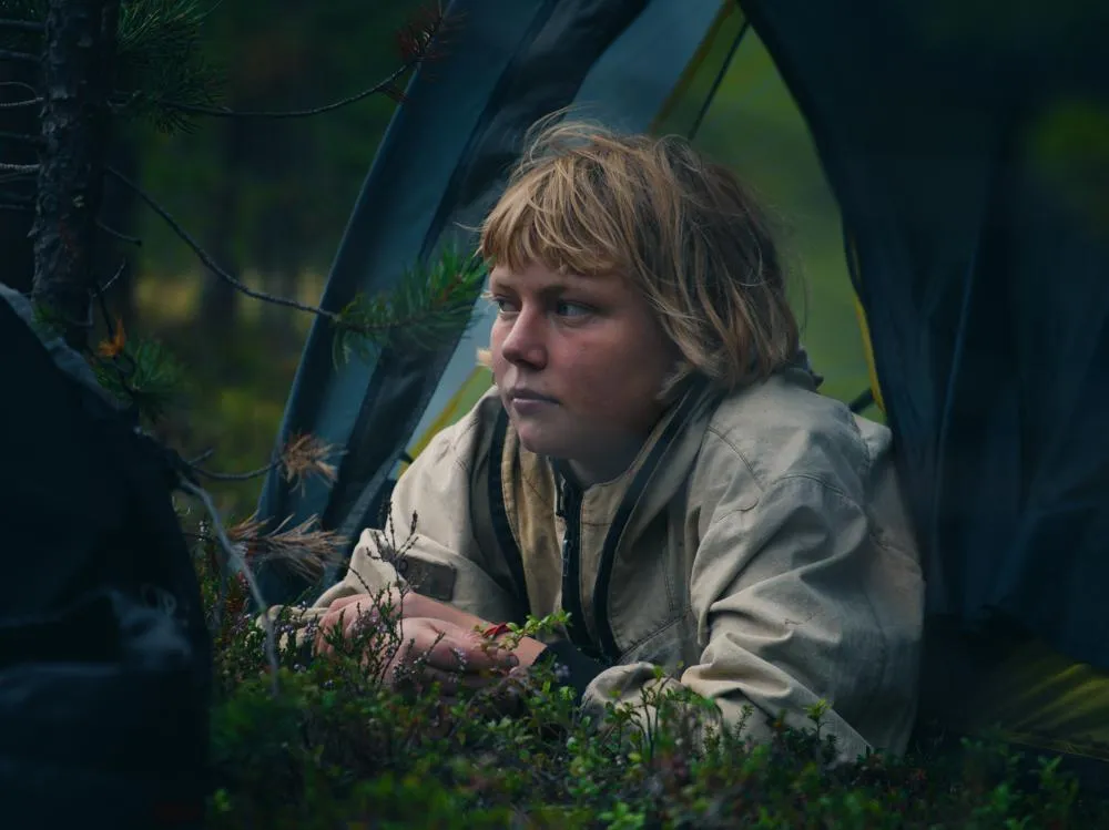 كان ياما كان في إحدى الغابات