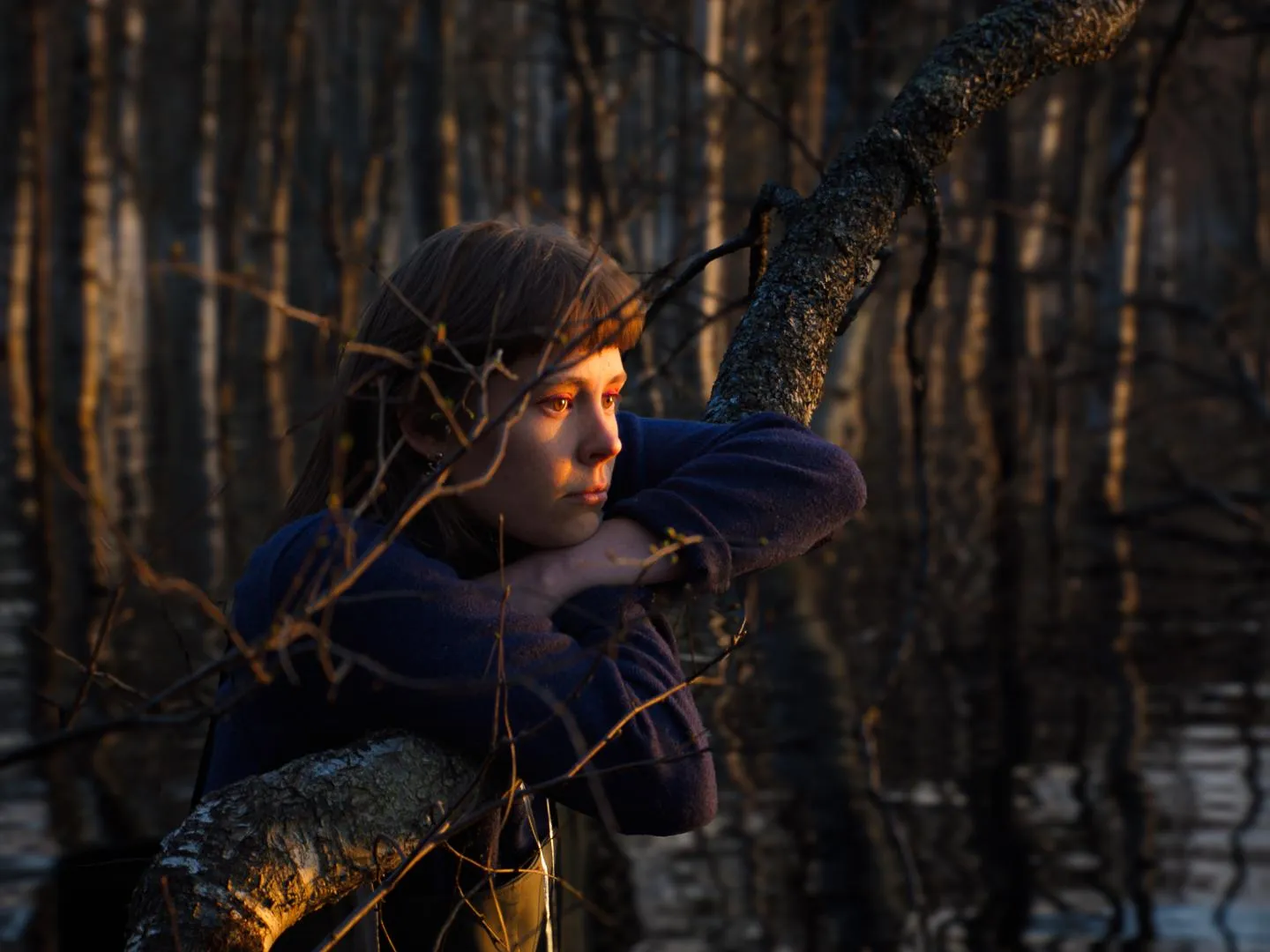 كان ياما كان في إحدى الغابات